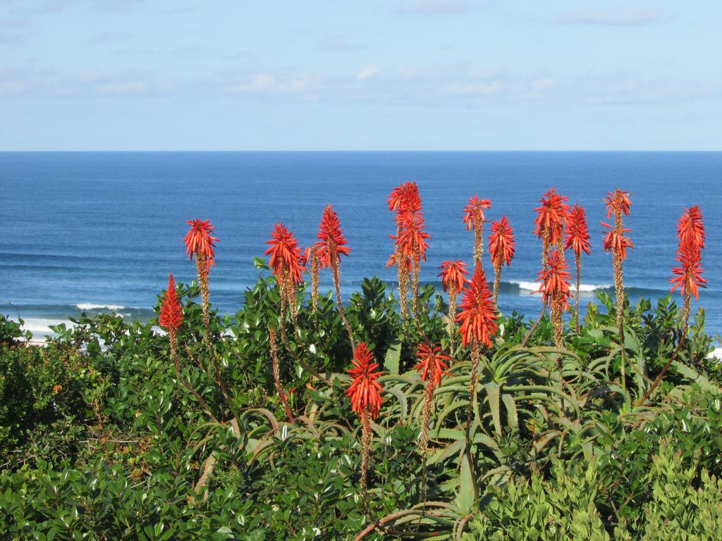 Melkhoutkloof Guest House Outeniqua Strand ภายนอก รูปภาพ